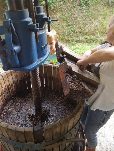 wine press